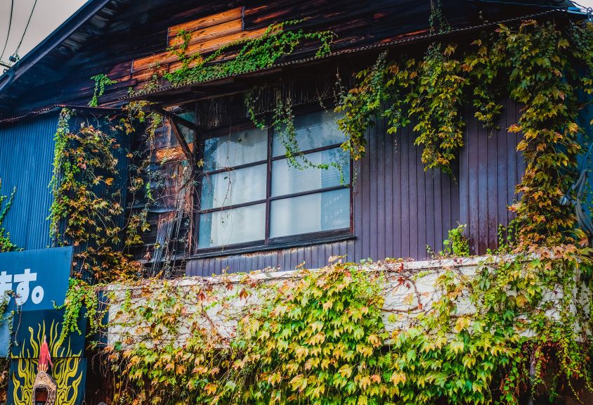 Nhat Ban dep mo mang thoi khac chuyen mua sang thu 7